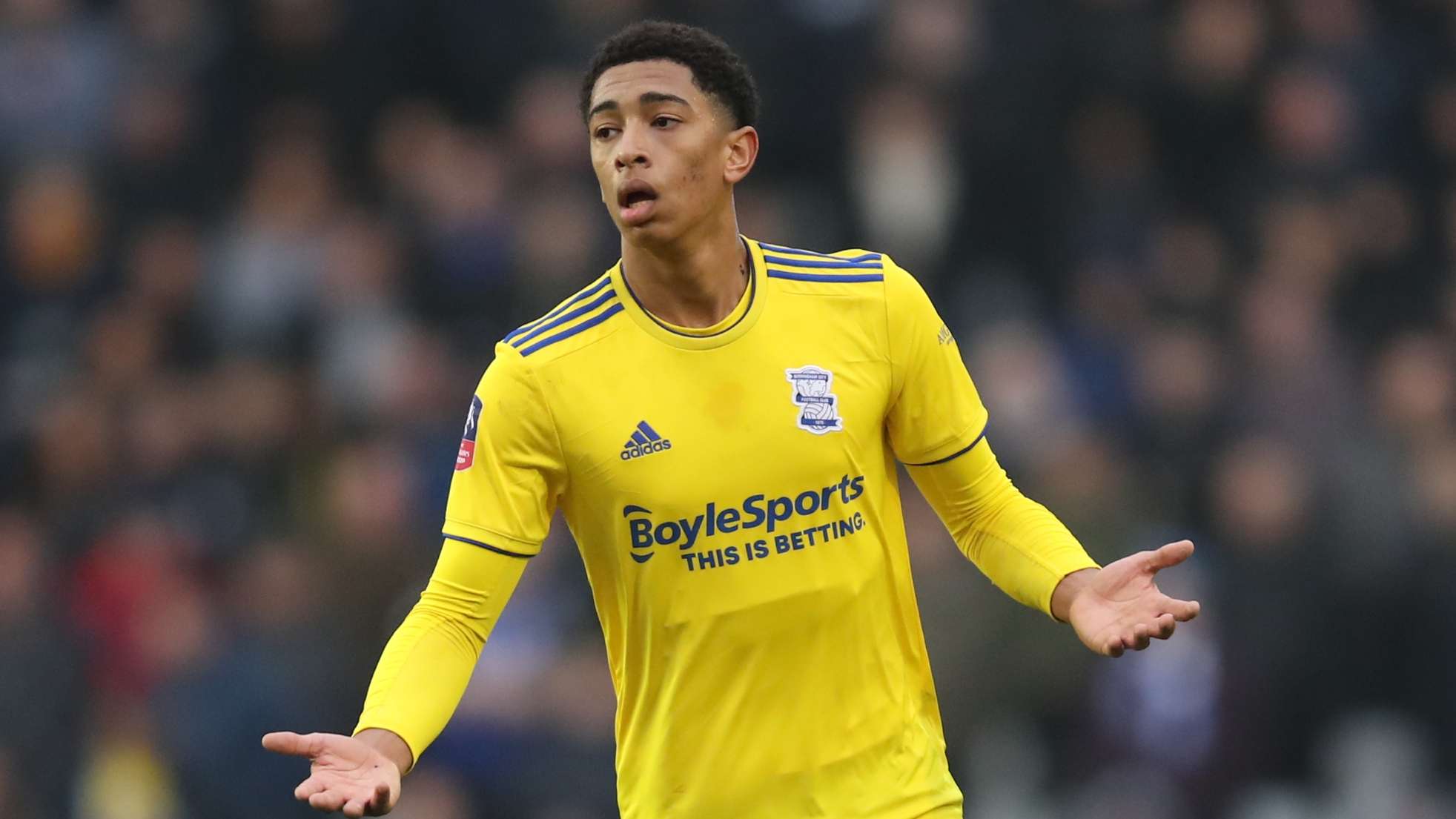 清楚地看到 清楚地看到